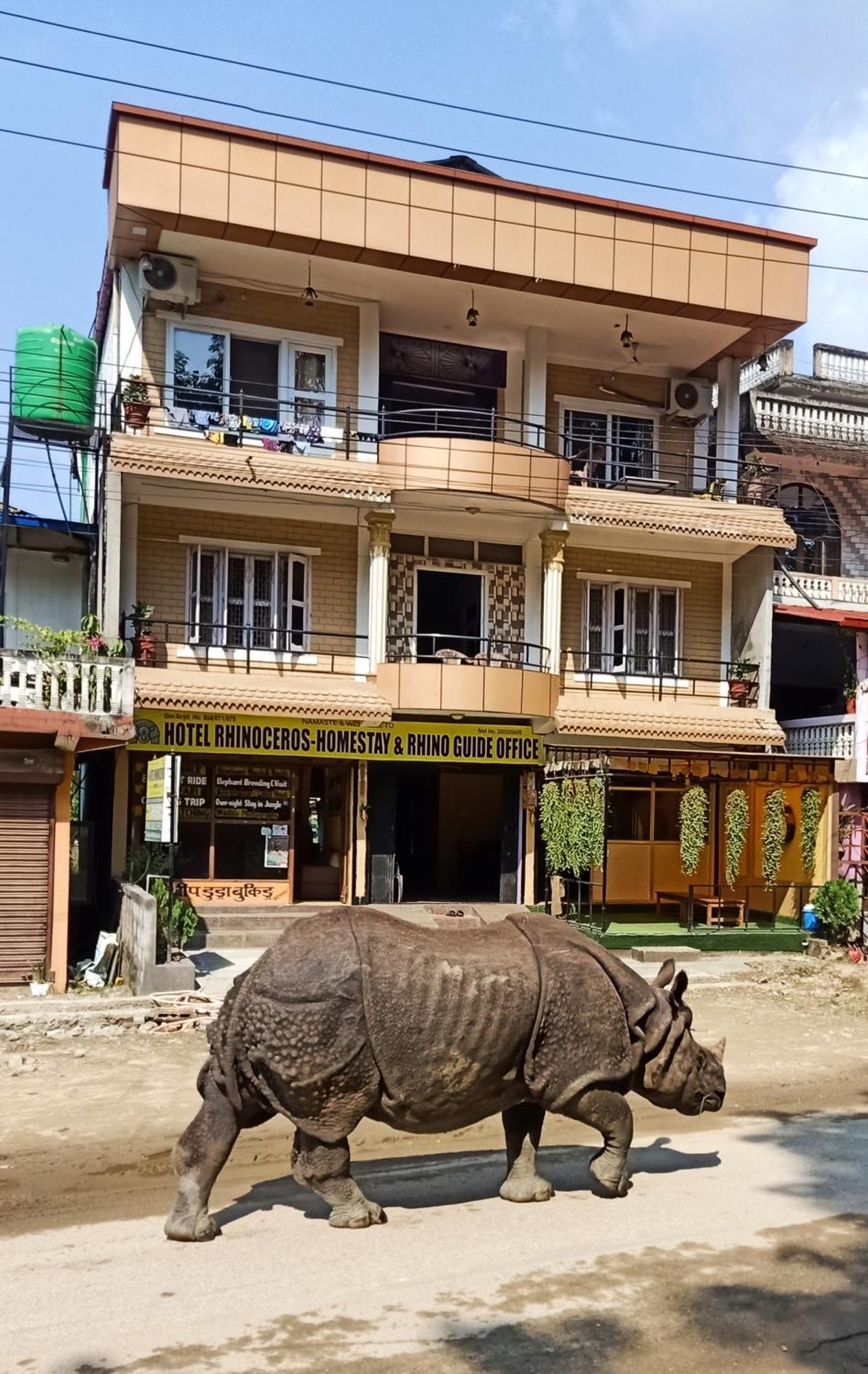 Hotel Rhinoceros-Homestay Sauraha Dış mekan fotoğraf