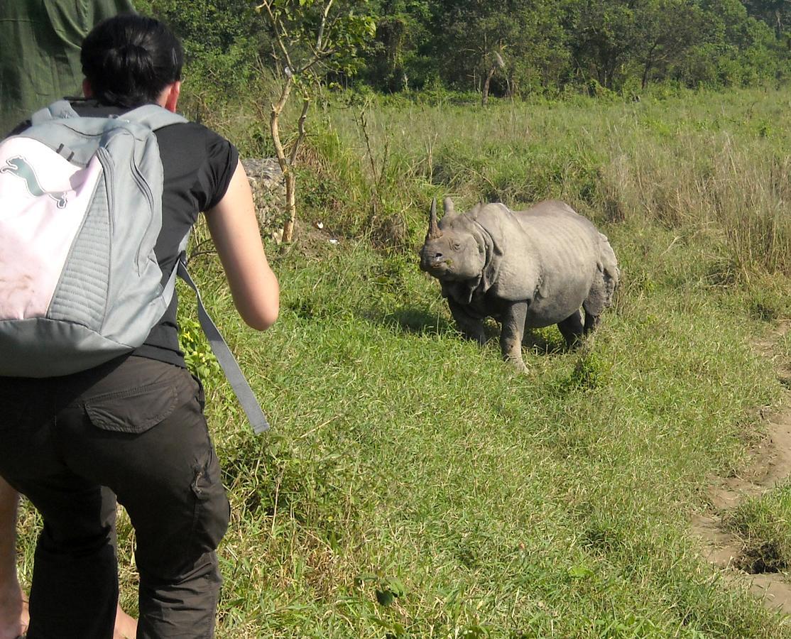 Hotel Rhinoceros-Homestay Sauraha Dış mekan fotoğraf